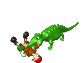 gator.gif