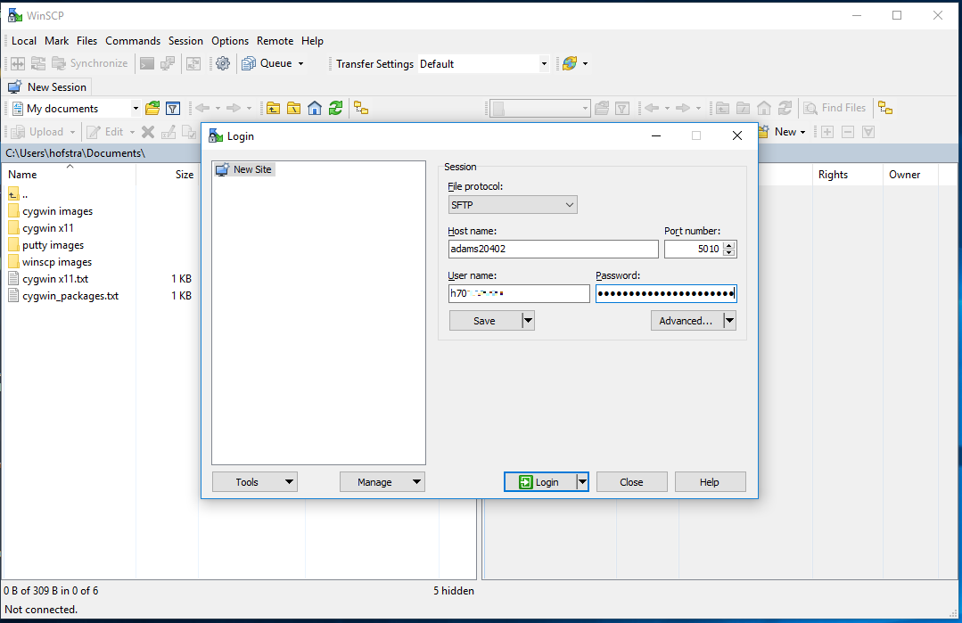 Default file. Подключение по WINSCP. SFTP клиент для Windows. WINSCP пользовательские команды. FTP connect Windows 10.